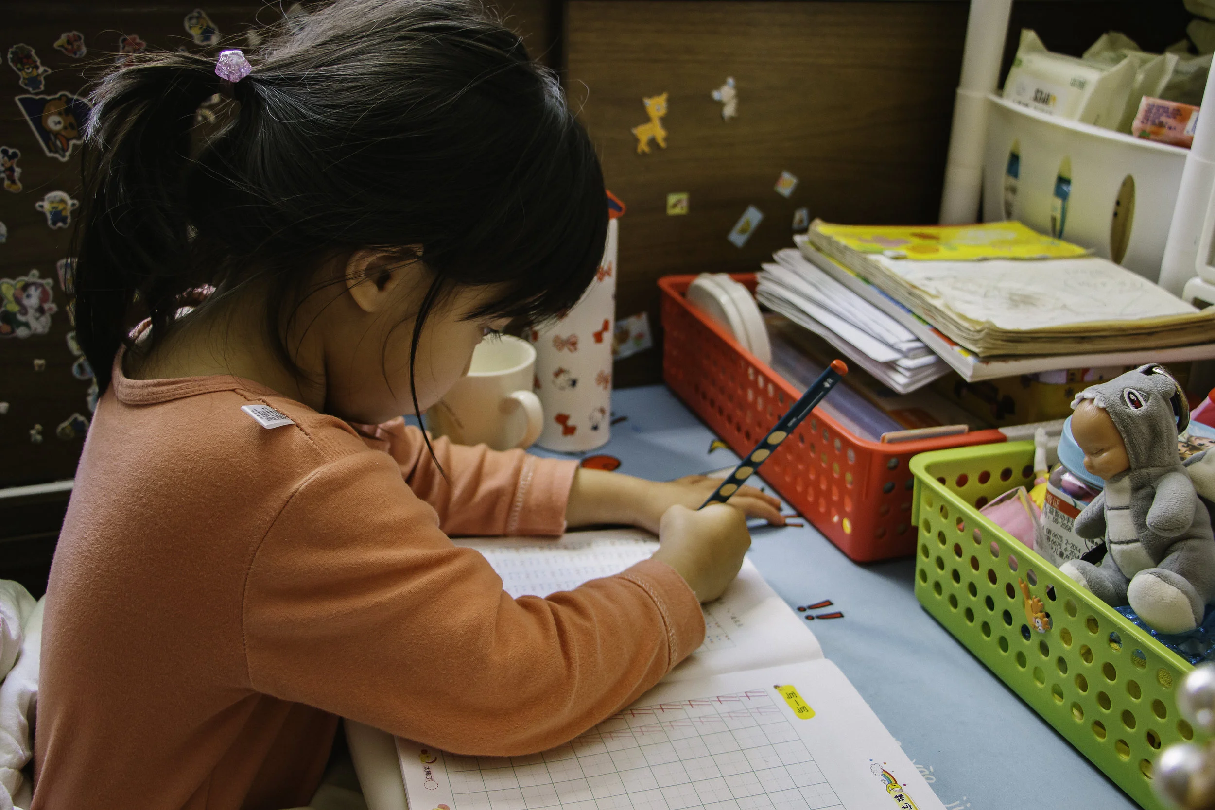 Montessori in Elementary Schools