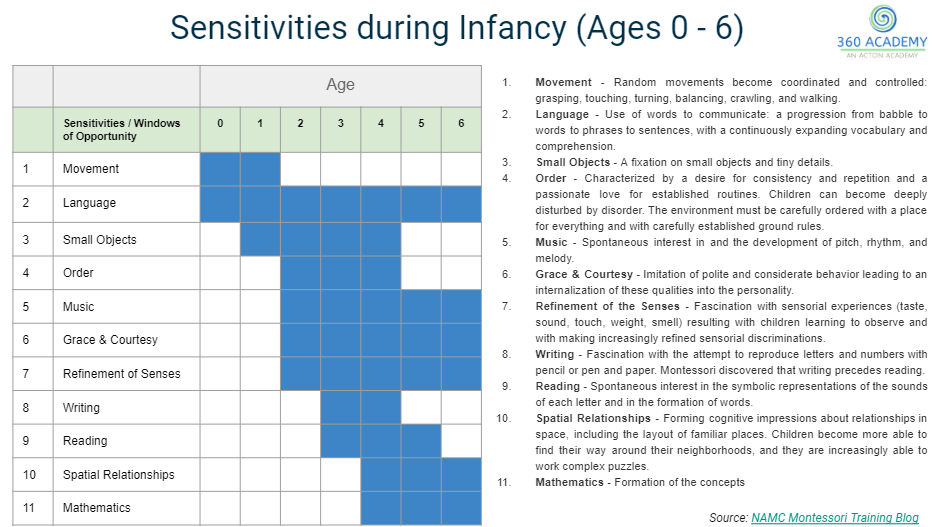 Maria-Montessori-Infancy-Early-Childhood-Sensitivities.png