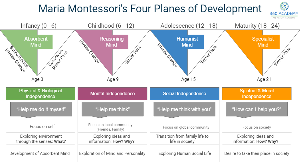 Montessori's 1st Stage of Development: Infancy