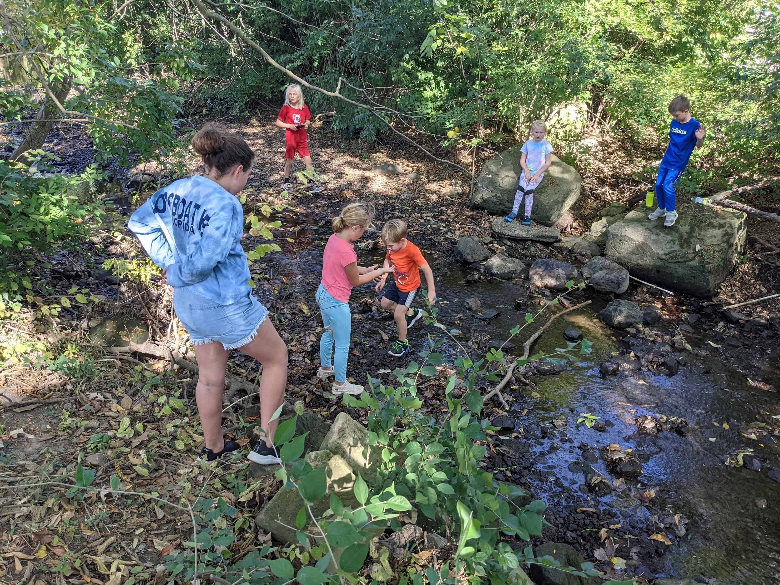 Nature Play - Acton Academy