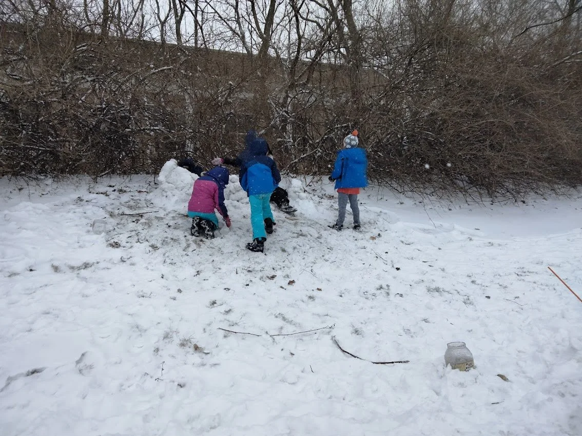Waldorf-Acton-Snow.jpg
