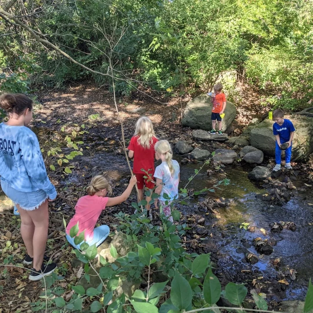 Is Acton a Waldorf school?