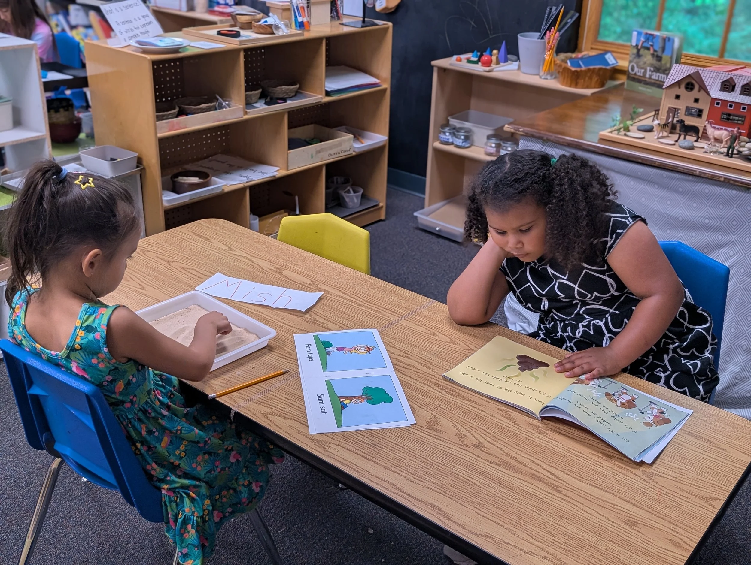 Learning to Read in the Montessori Studio