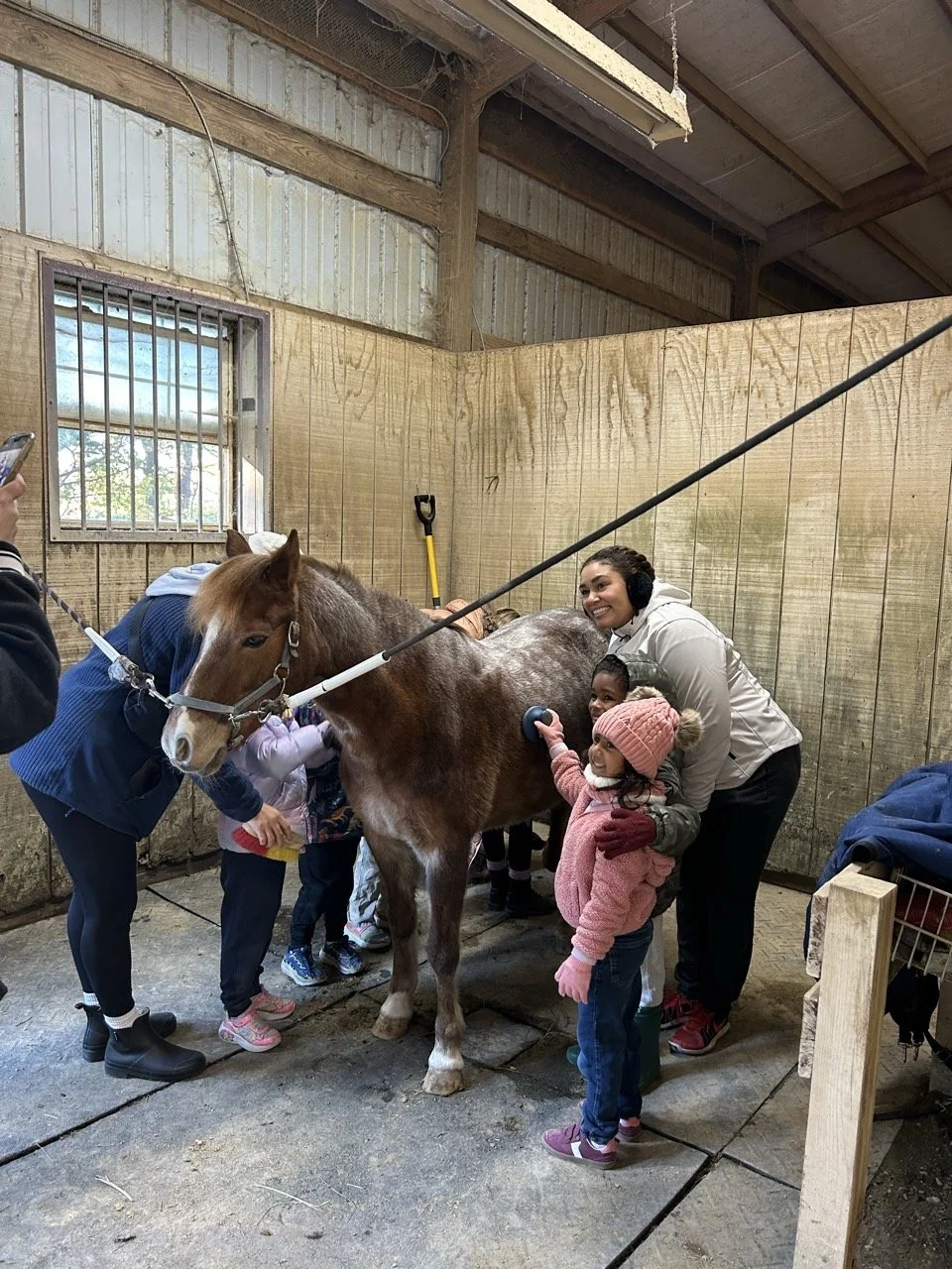 Young learners meeting a horse at Duzan Riding Academy