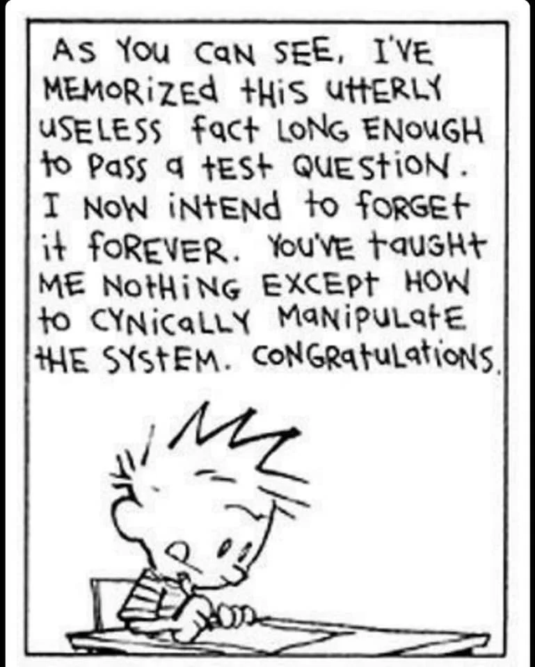 Calvin wondering the purpose of memorization for school