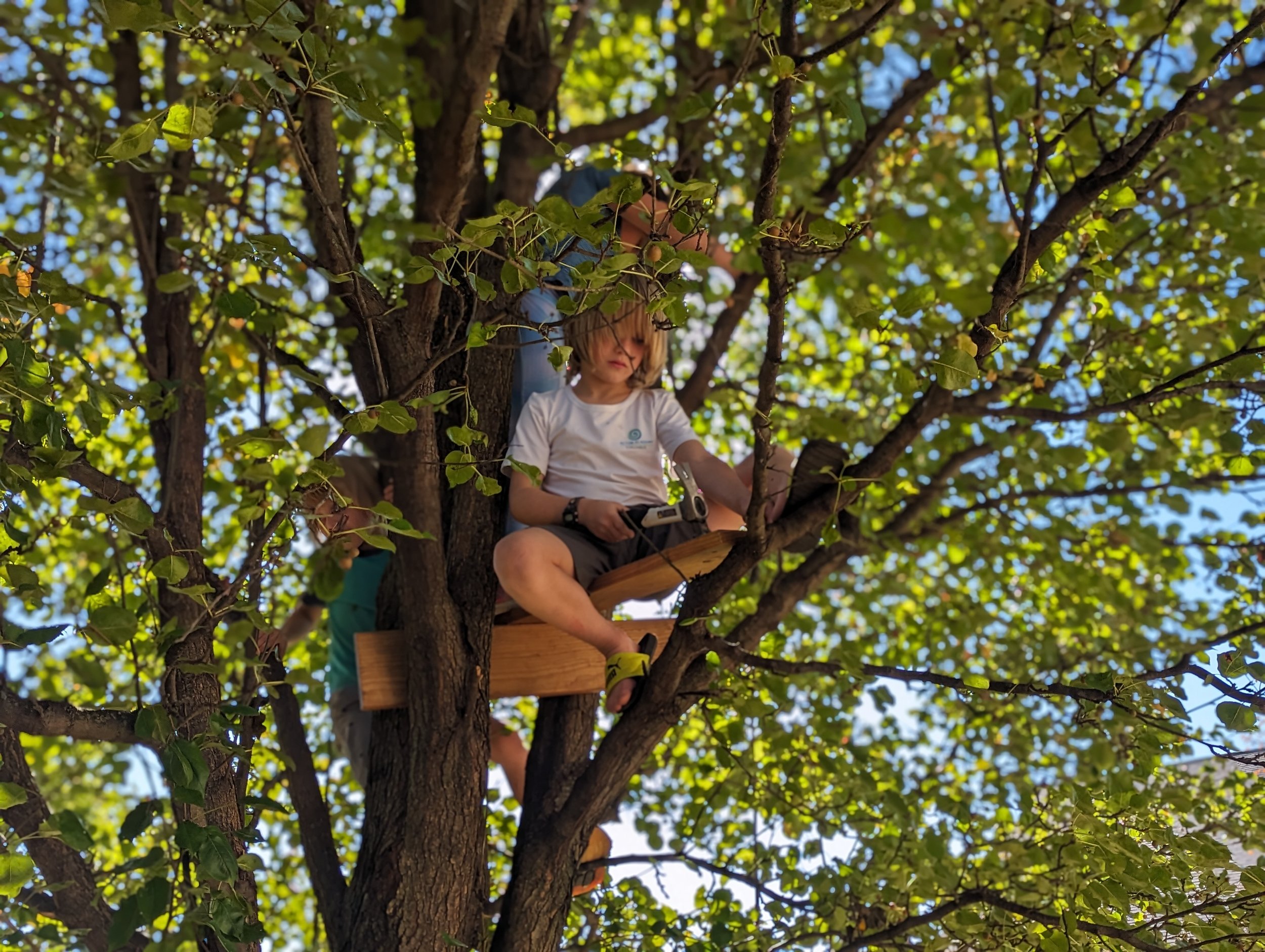 Waldorf-Inspired School - Acton Academy Columbus learner working on building a treehouse