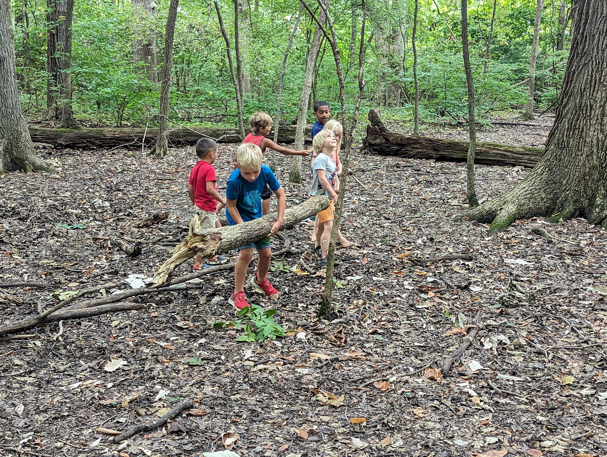 Waldorf-inspired education - students at Acton (homeschooling alternative in Dublin, OH) working together to build a fort