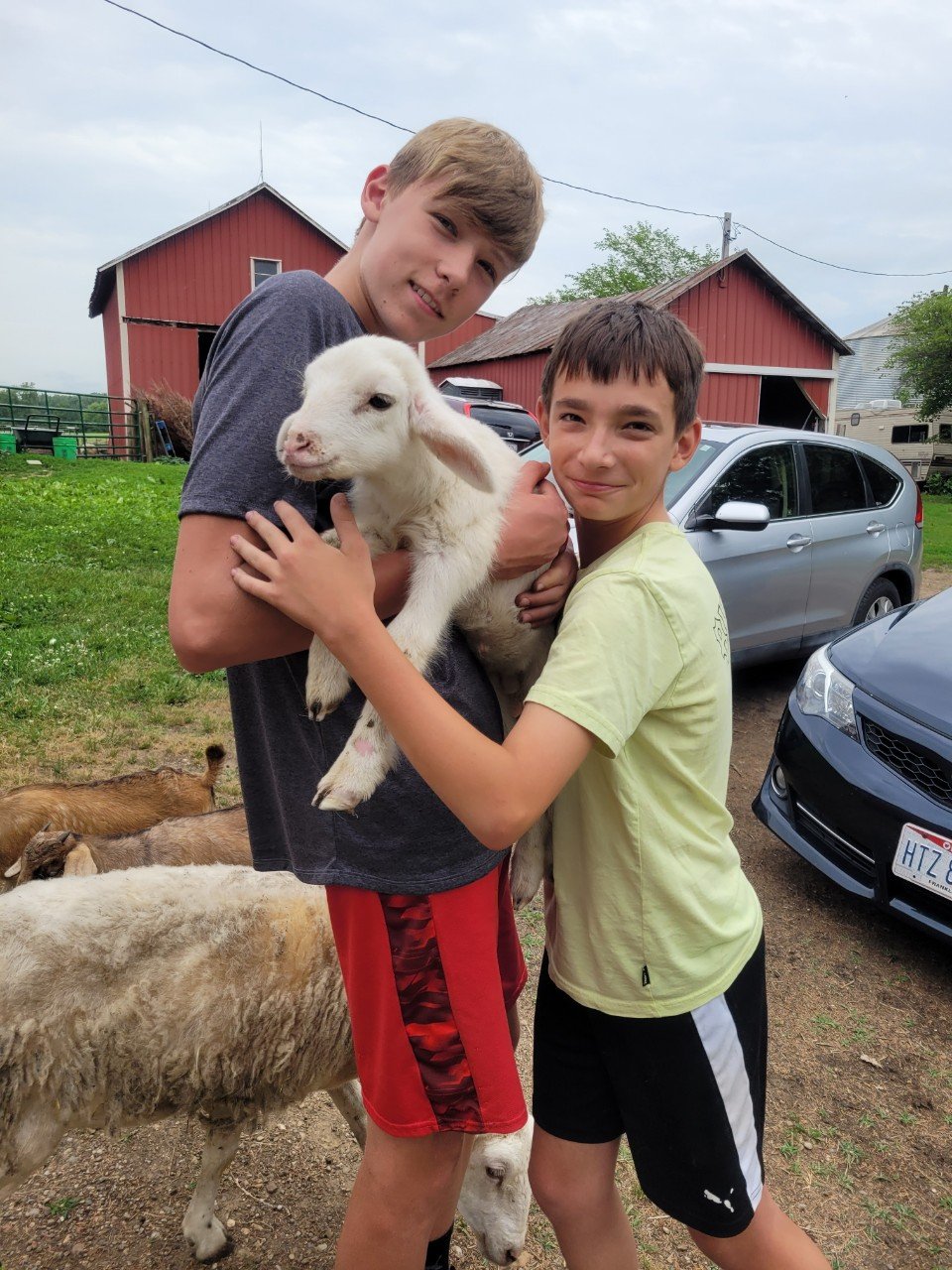 Adventure Studio Eagles at Harrison Farm