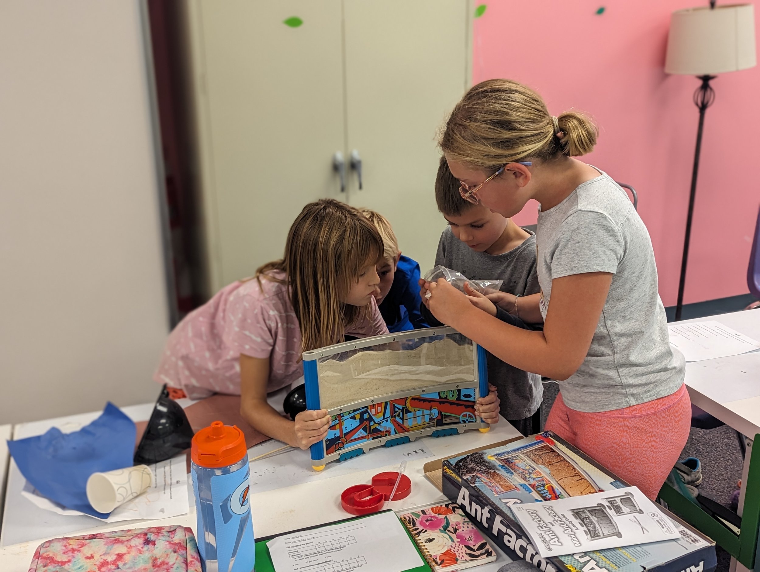 Executive Functioning