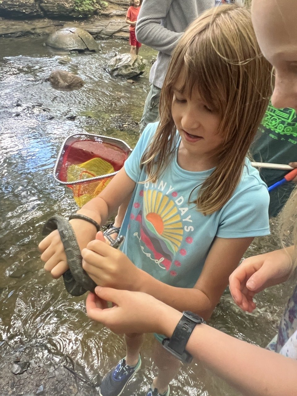 STEM and Projects